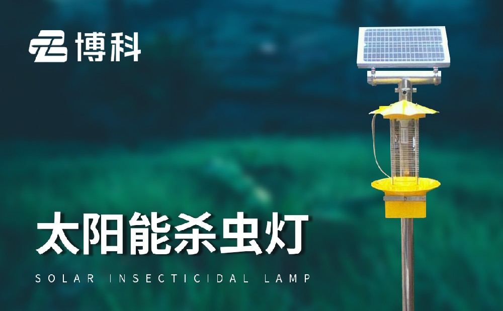 太陽能殺蟲燈