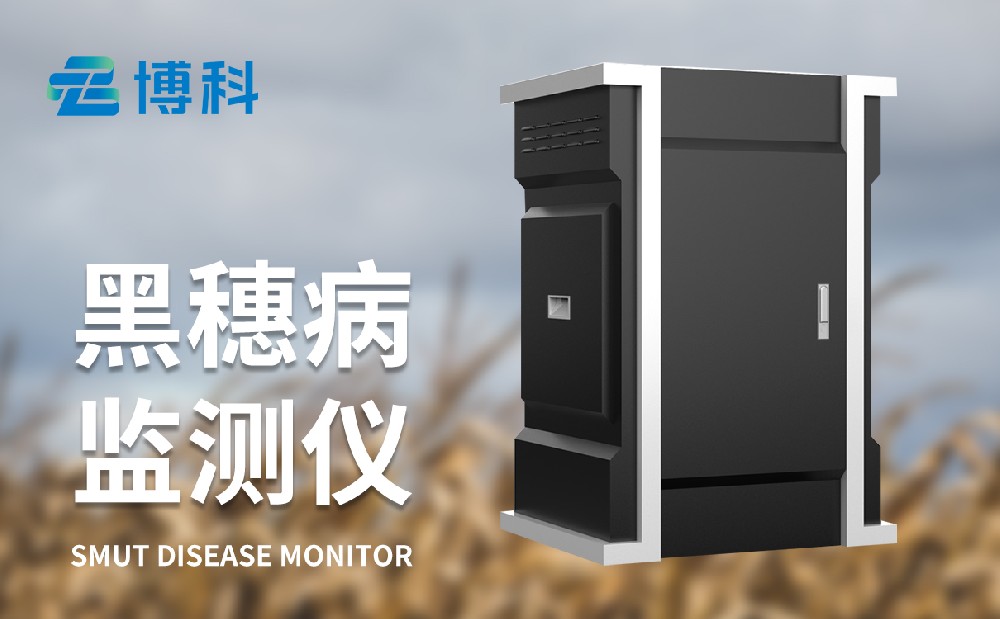 玉米黑穗病監測儀