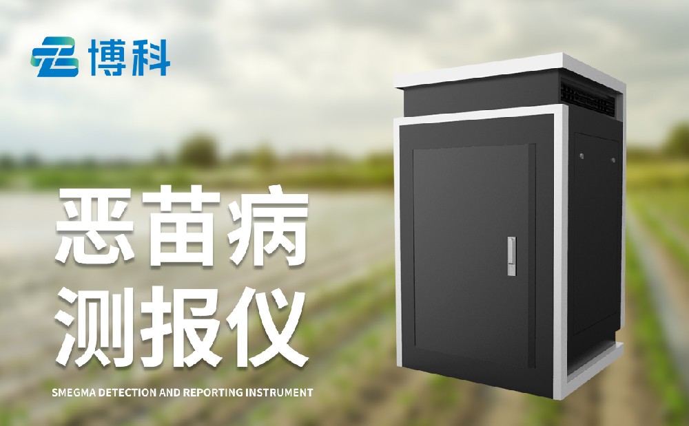 水稻惡苗病的危害有哪些，惡苗病測報儀為病害防治提供數據支持