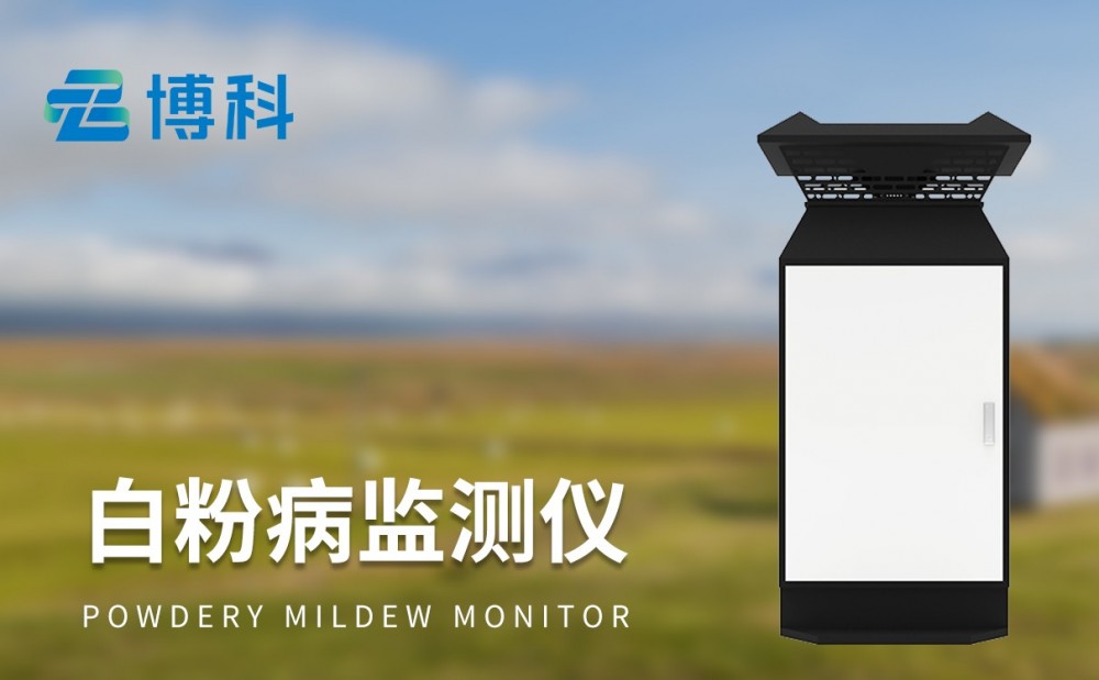 小麥白粉病檢測(cè)儀：白粉病防治新助力